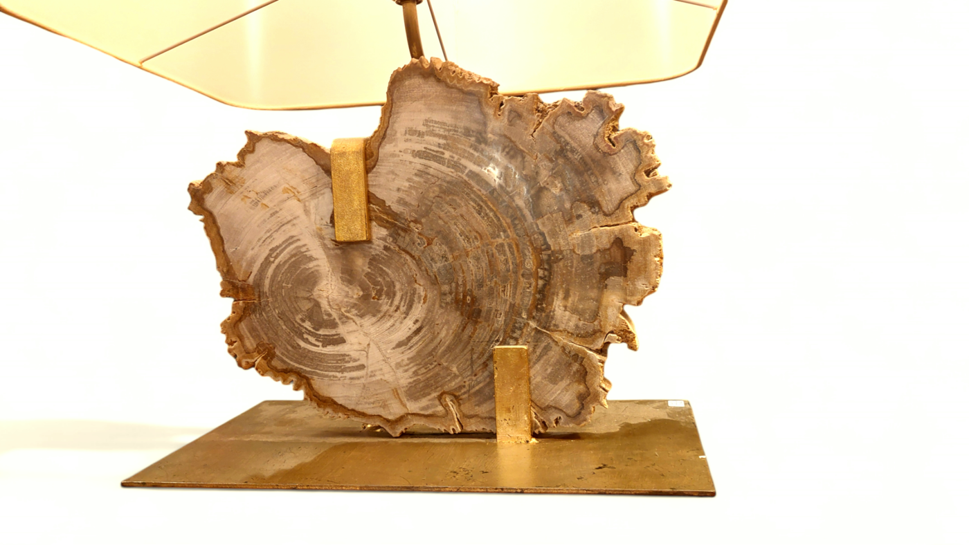 L 392 JC Fossilized wood mounted as a lamp 1980s