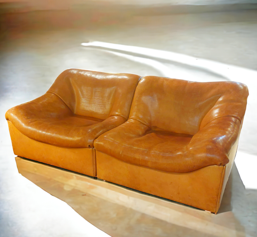 S 224 JC Buffalo leather 2 seater sofa By Desede DS 46, Switserland 1980s