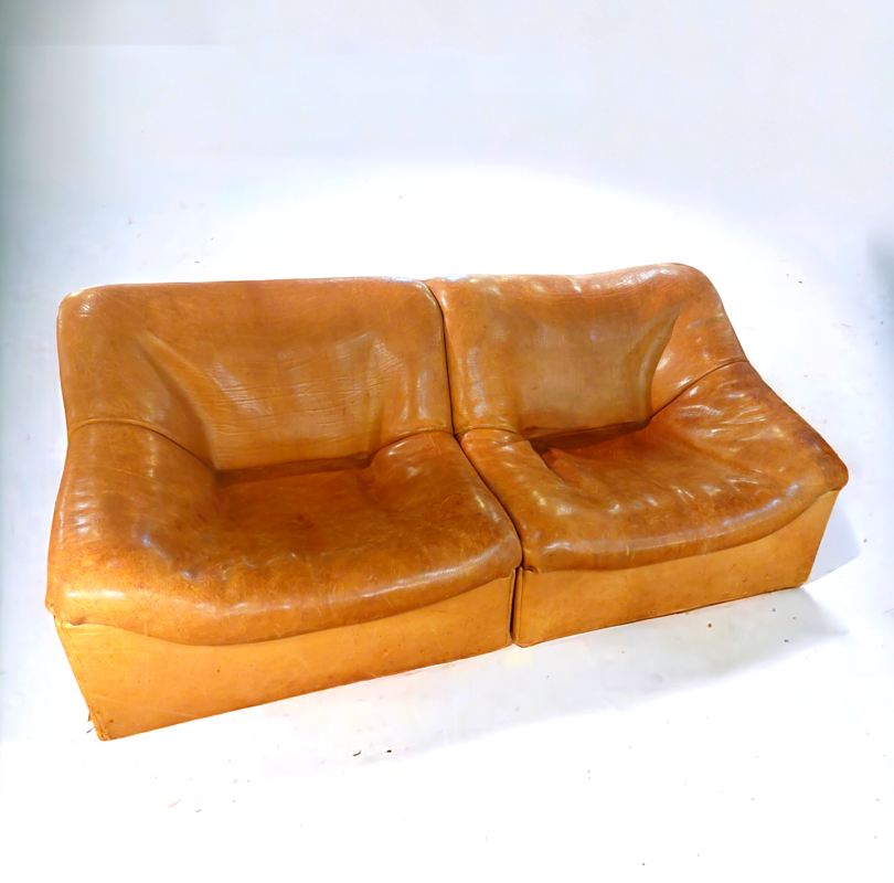 S 224 JC Buffalo leather 2 seater sofa By Desede DS 46, Switserland 1980s