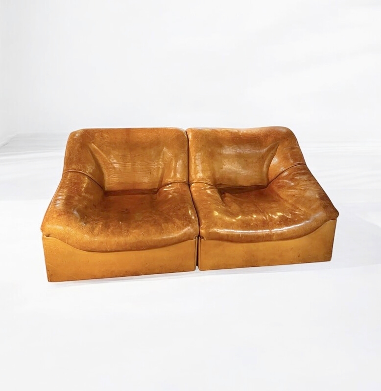 S 224 JC Buffalo leather 2 seater sofa By Desede DS 46, Switserland 1980s