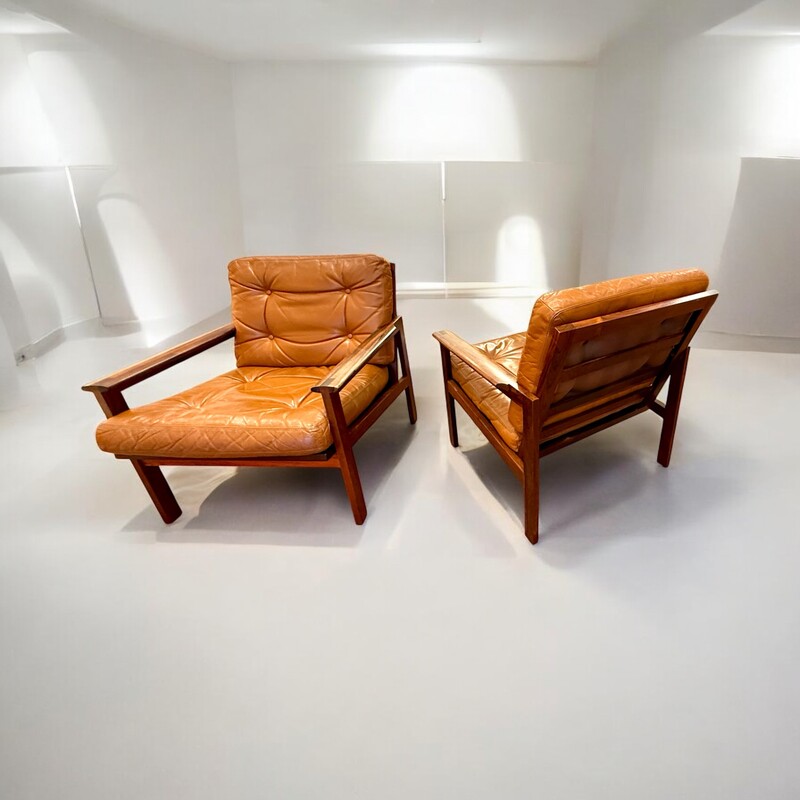 S 226 AG pair of « Capella «  by Illum Wikkelso leather and rosewood