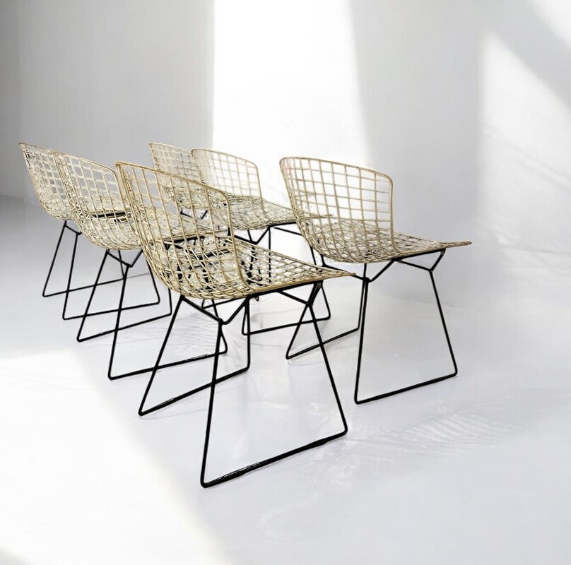 S 230 GOT set of Bertoia chairs